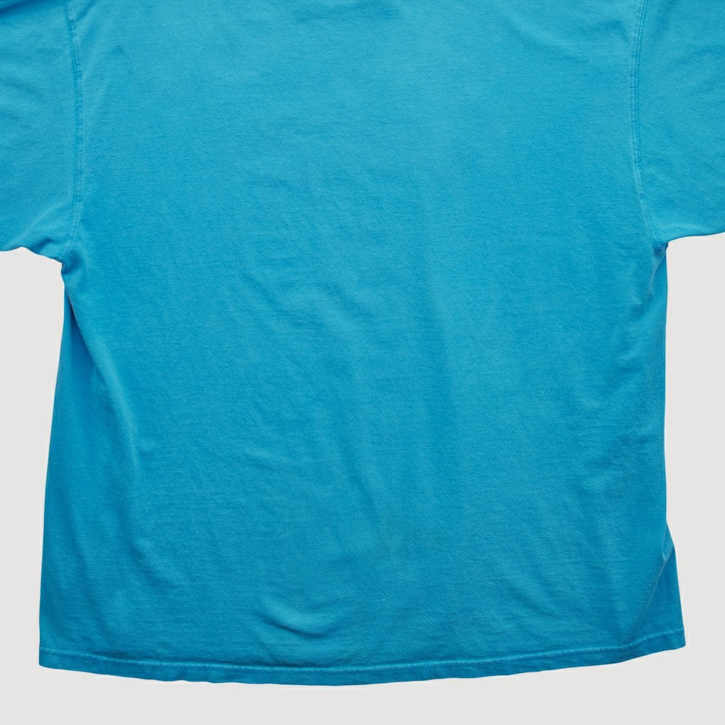 Carolina Panthers NFL 2000s T-shirt Blue Vintage