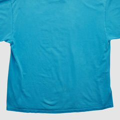 Carolina Panthers NFL 2000s T-shirt Blue Vintage