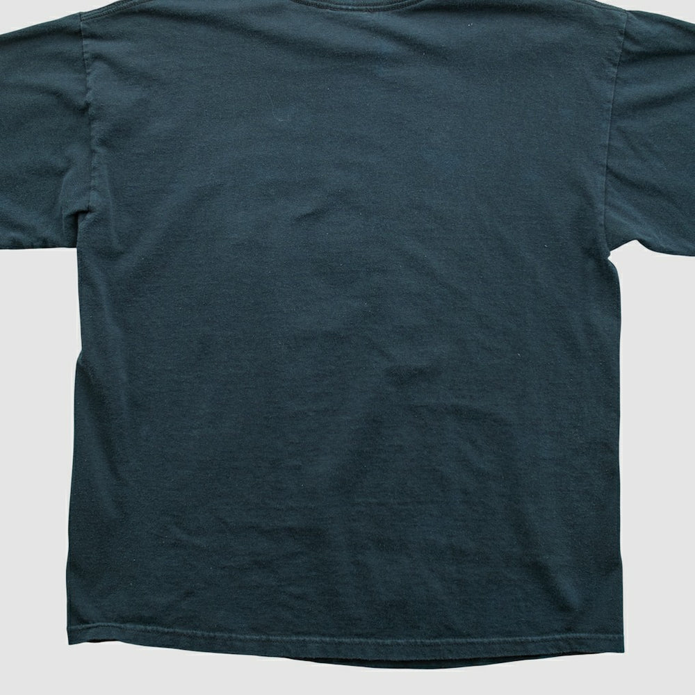 Pittsburgh Steelers NFL 2010s T-shirt Black Vintage