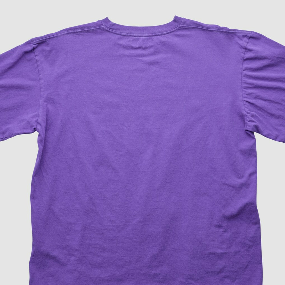 Minnesota Vikings NFL 2000s T-shirt Purple Vintage