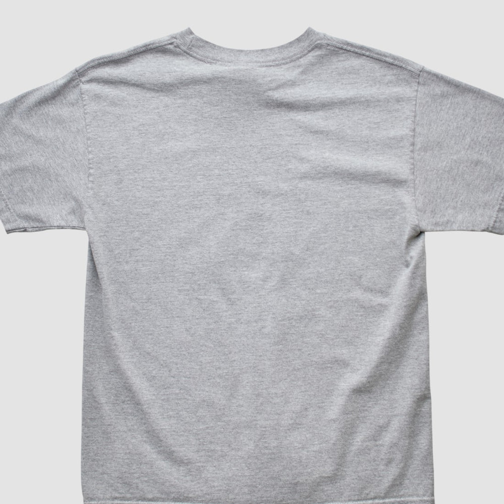 Denver Broncos NFL 2000s T-shirt Heather Gray Vintage
