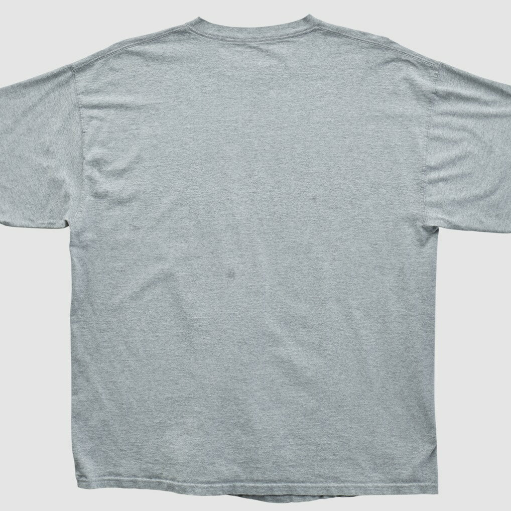 Miami Dolphins NFL 2000s T-shirt Heather Gray Vintage