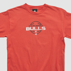 Chicago Bulls 2010s T-shirt Red Vintage