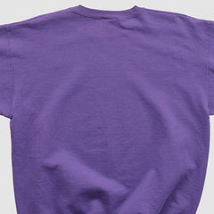 Minnesota Vikings Champion 90s Pullover Sweatshirt Purple Vintage