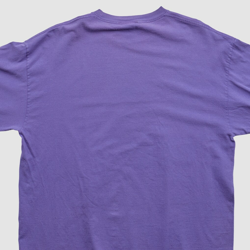 Minnesota Vikings NFL 2010s Long Sleeve T-shirt Purple Vintage