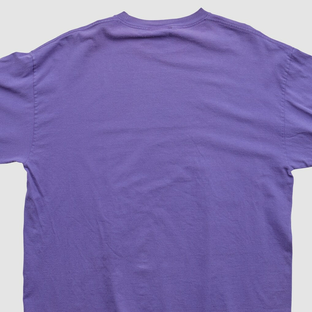 Minnesota Vikings NFL 2010s Long Sleeve T-shirt Purple Vintage