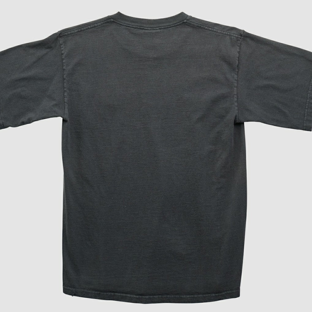Pittsburgh Steelers NFL 2000s T-shirt Black Vintage