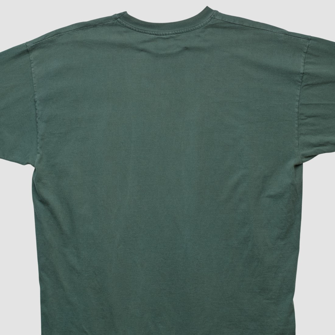 Green Bay Packers Champion 90s T-shirt Green Vintage