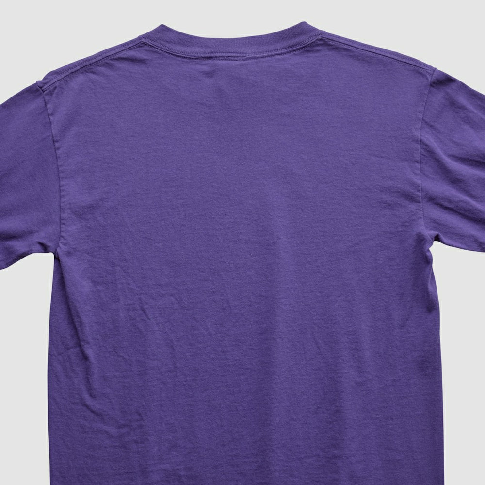Adrian Peterson NFL 2000s Long Sleeve T-shirt Purple Vintage