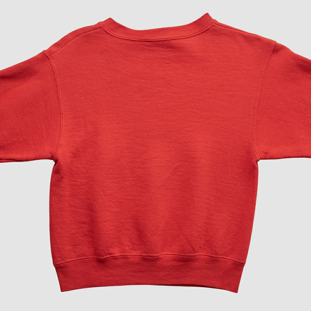 Chicago Bulls Lee Apparel 90s Pullover Sweatshirt Red Vintage