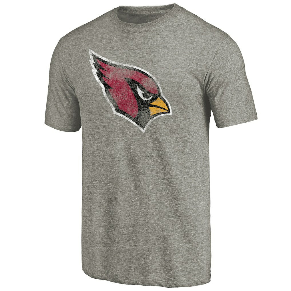 Arizona Cardinals Distressed Team T-Shirt Ash
