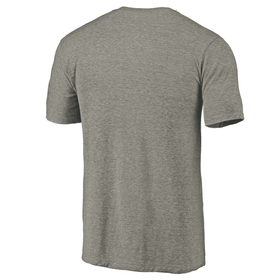 Detroit Lions Distressed Team T-Shirt Ash