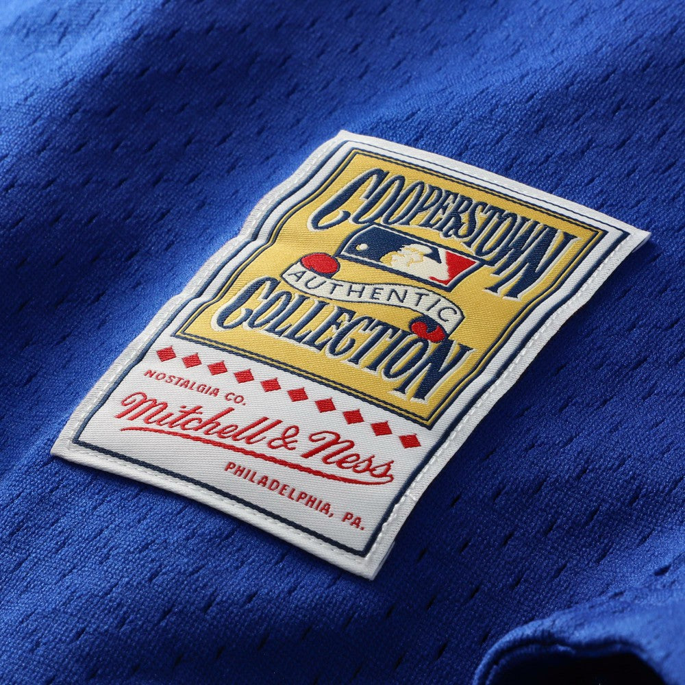 Mike Piazza Los Angeles Dodgers Mitchell & Ness Cooperstown Collection Mesh Batting Practice Button-Up Jersey - Royal Jerseys