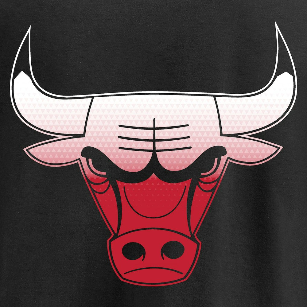 Chicago Bulls Gradient Logo T-Shirt Black