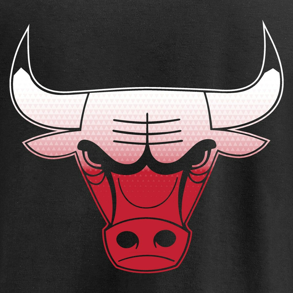 Chicago Bulls Gradient Logo Pullover Hoodie Black