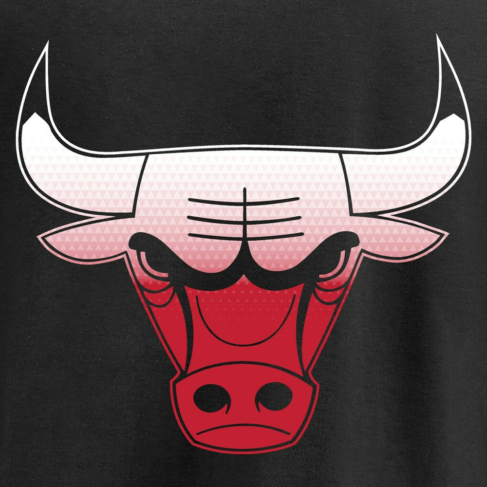 Chicago Bulls Gradient Logo Pullover Hoodie Black