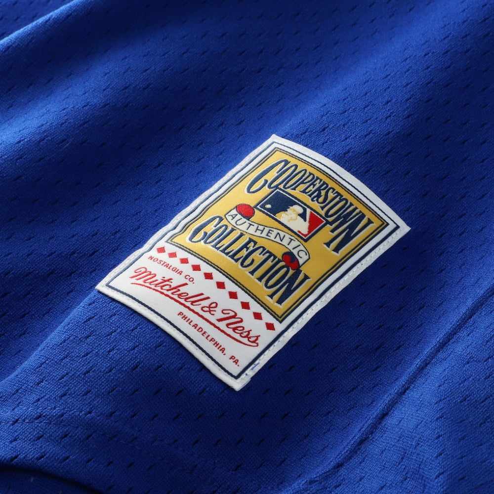 Dale Murphy Atlanta Braves Mitchell & Ness Authentic Batting Practice Jersey - Royal Jerseys