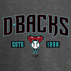 Arizona Diamondbacks Women's Hometown Collection Snakeskin V-Neck T-Shirt - Heathered Gray T-shirts