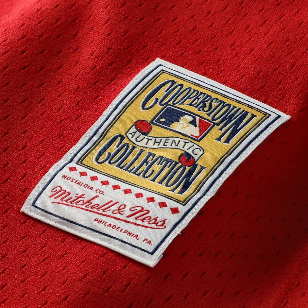 Johnny Bench Cincinnati Reds Mitchell & Ness Cooperstown Collection Big & Tall Mesh Batting Practice Jersey - Red Jerseys