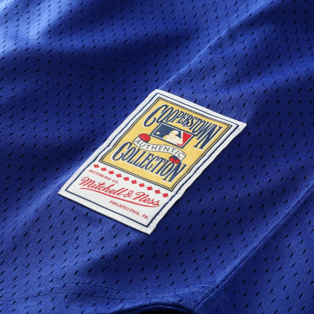 Bo Jackson Kansas City Royals Mitchell & Ness Cooperstown Collection Big & Tall Mesh Batting Practice Jersey - Royal Jerseys