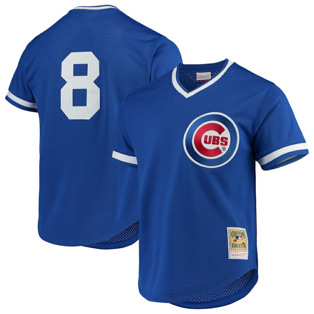 Andre Dawson Chicago Cubs Mitchell & Ness Authentic Batting Practice Jersey - Royal Jerseys