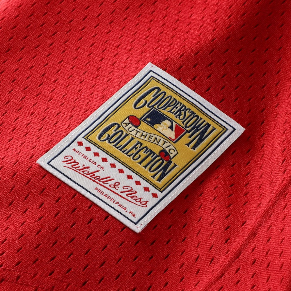 Ozzie Smith St. Louis Cardinals Mitchell & Ness Youth Cooperstown Collection Mesh Batting Practice Jersey - Navy Jerseys