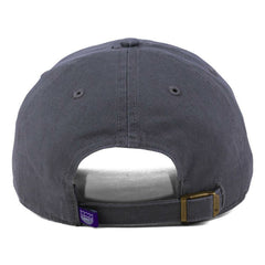 Sacramento Kings '47 Core Logo Clean Up Adjustable Hat Gray
