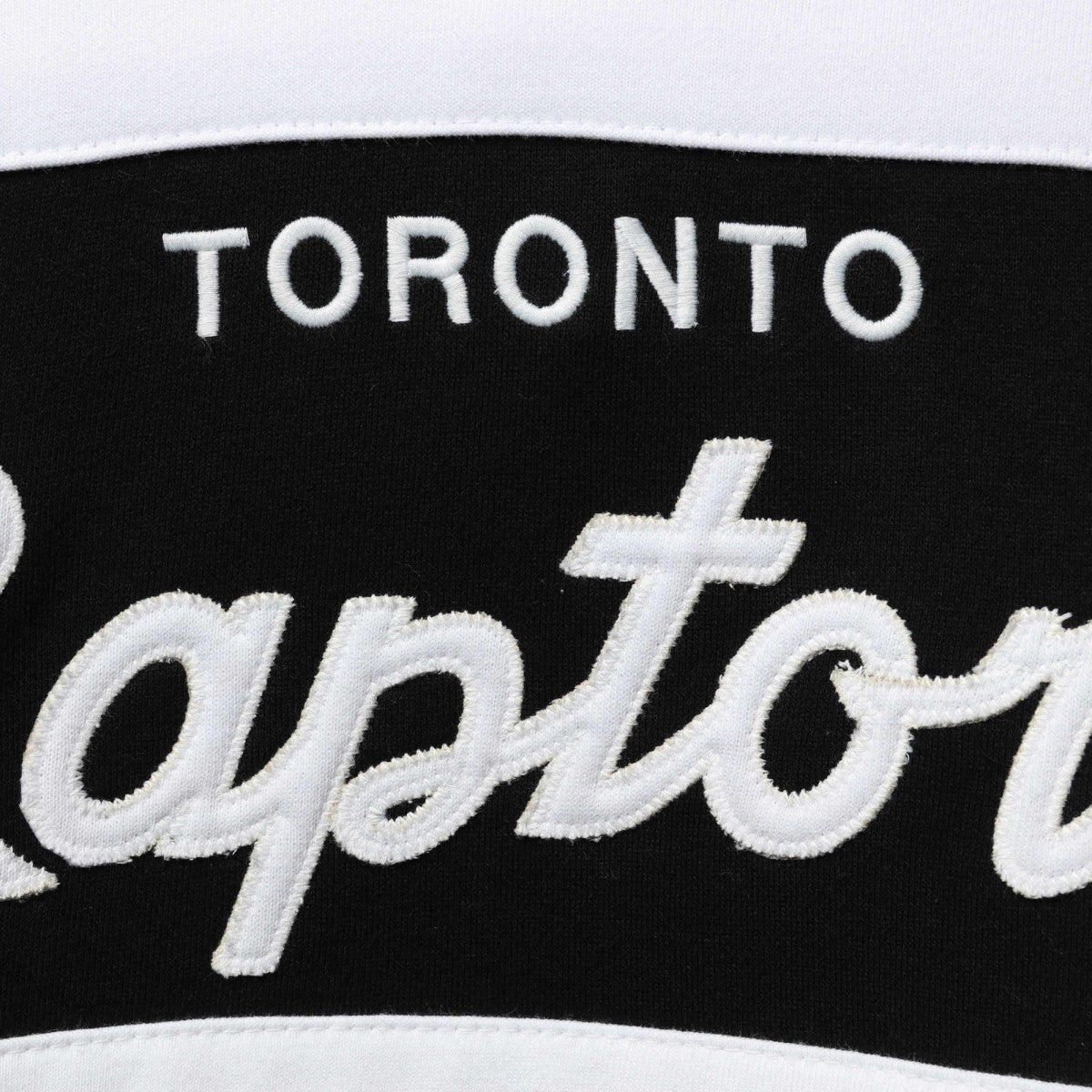 Toronto Raptors Head Coach Pullover Hoodie Purple/Black