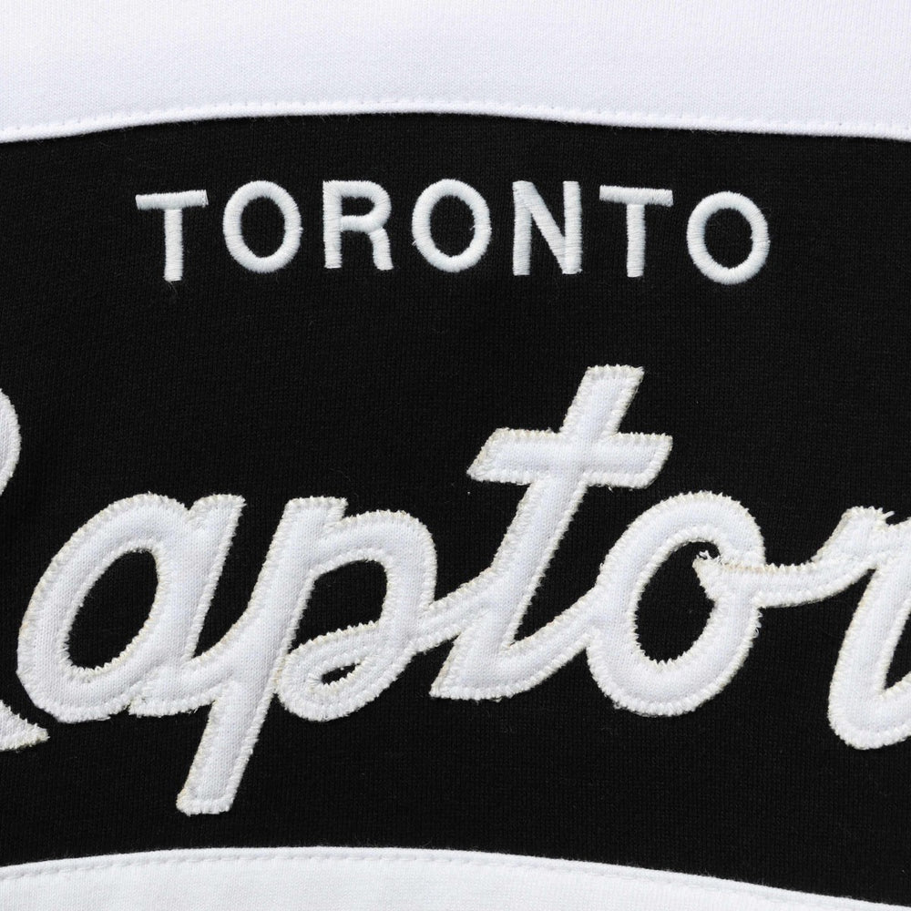 Toronto Raptors Head Coach Pullover Hoodie Purple/Black