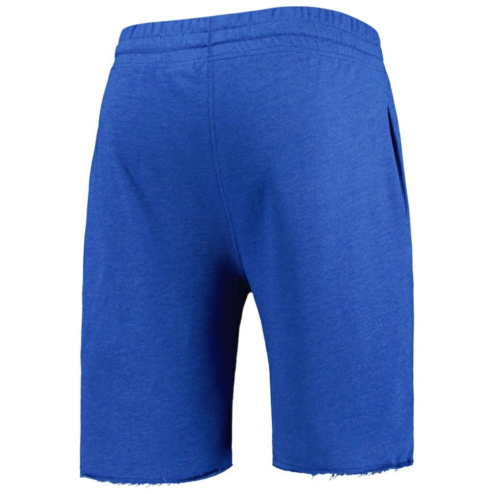 Chicago Cubs Concepts Sport Mainstream Terry Shorts - Heather Royal Shorts