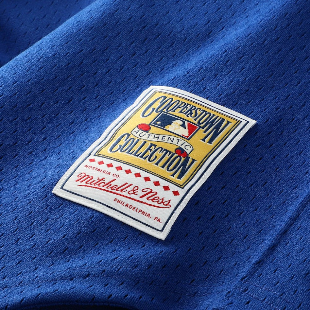 Ken Griffey Jr. Seattle Mariners Mitchell & Ness Big & Tall Cooperstown Collection Mesh Batting Practice Jersey - Royal Jerseys