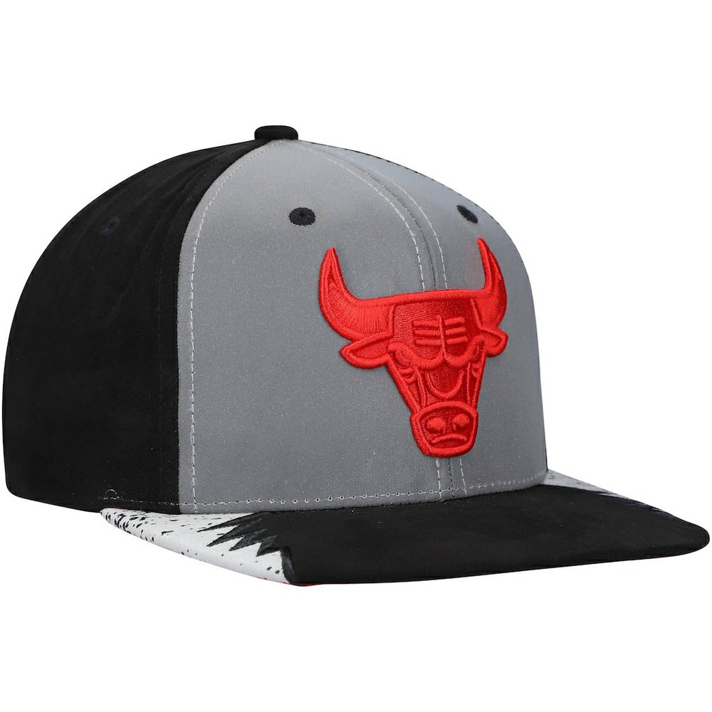 Chicago Bulls Day 5 Snapback Hat Silver/Gray