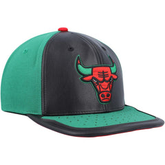 Chicago Bulls Day One Snapback Hat Black/Green
