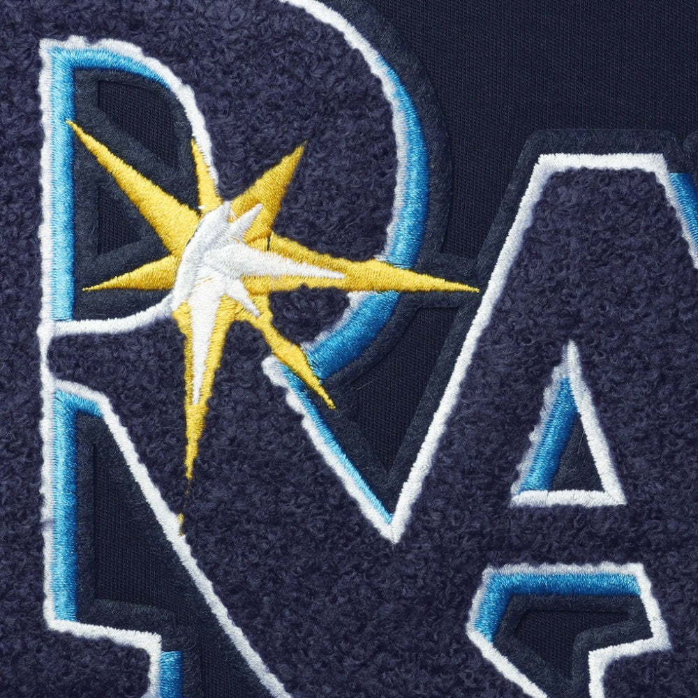 Tampa Bay Rays Pro Standard Team T-Shirt - Navy T-shirts