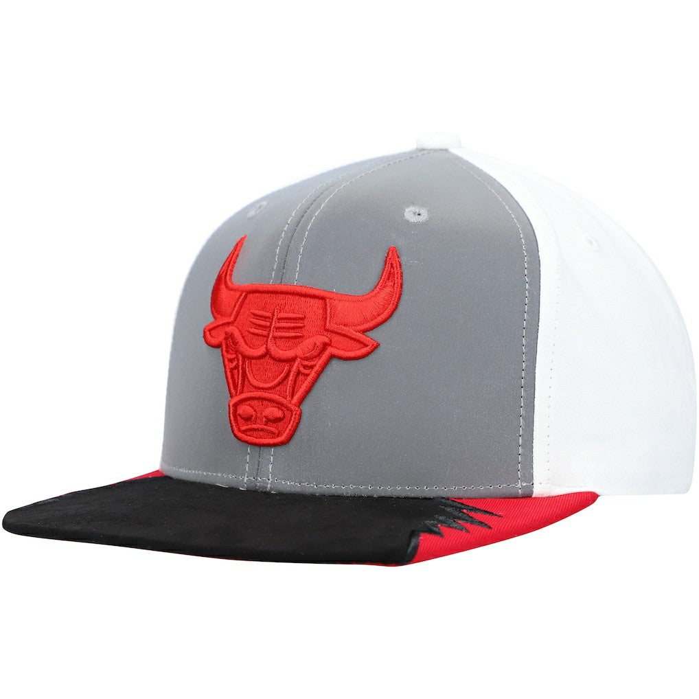 Chicago Bulls Day 5 Snapback Hat Gray/White
