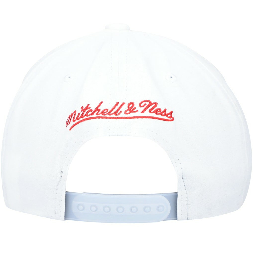 Chicago Bulls Day 5 Snapback Hat Gray/White