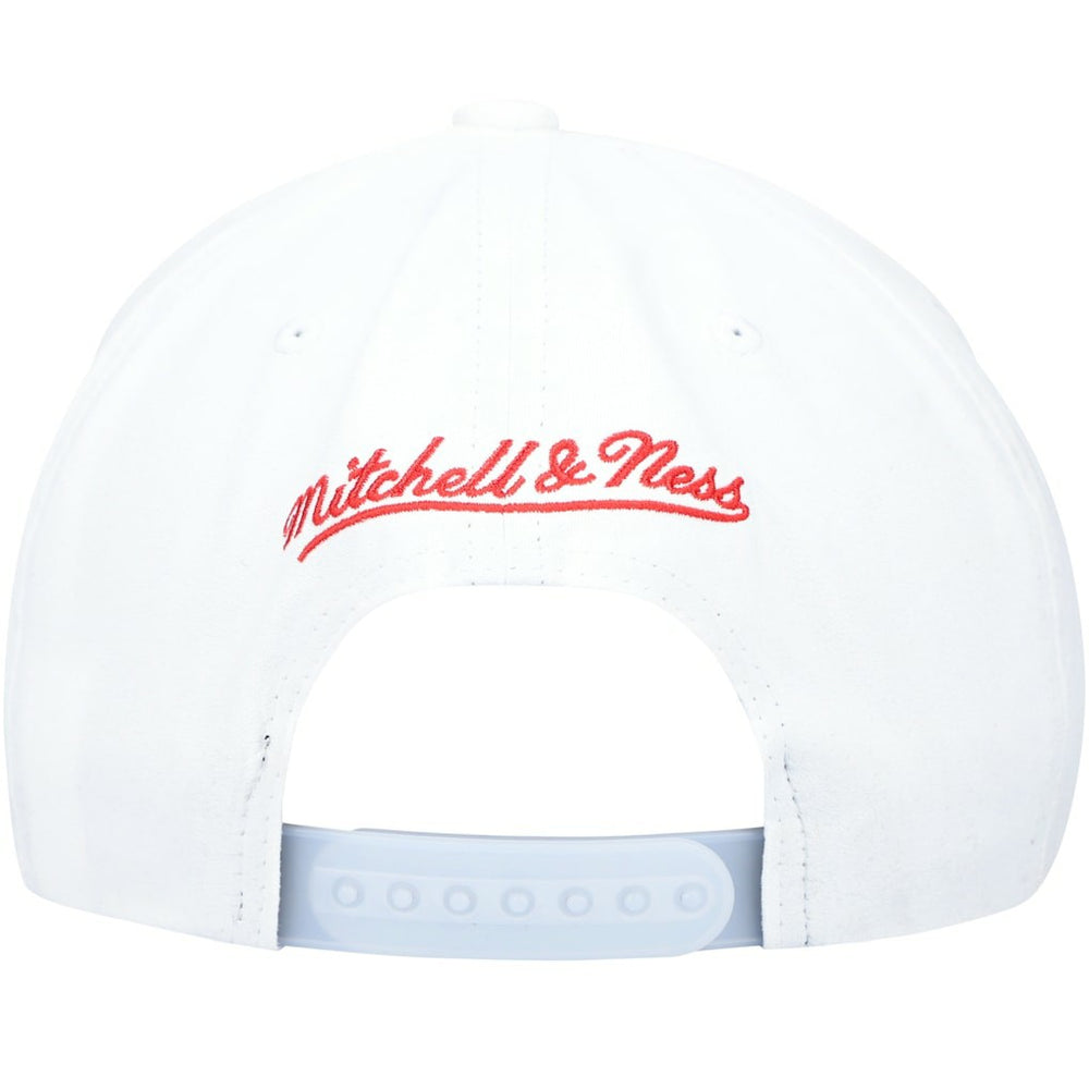 Chicago Bulls Day 5 Snapback Hat Gray/White