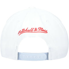 Chicago Bulls Day 5 Snapback Hat Gray/White