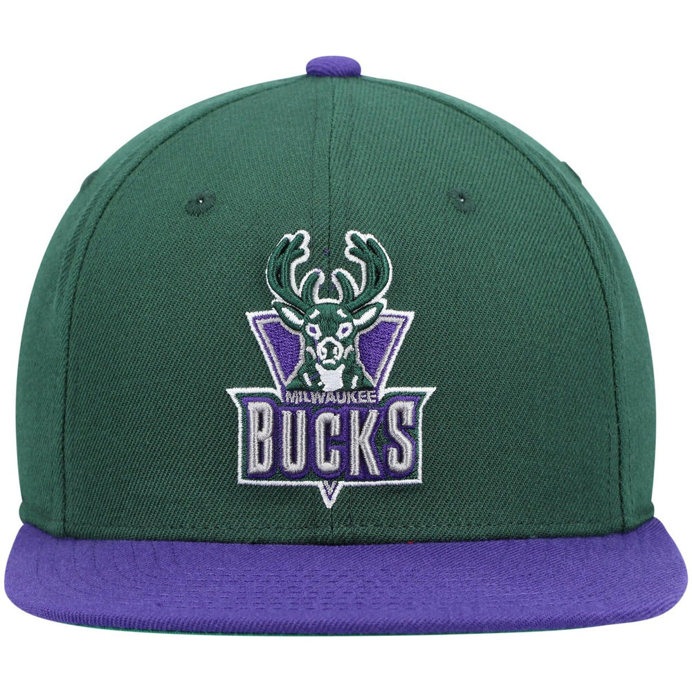 Milwaukee Bucks Hardwood Classics Team Two-Tone 2.0 Snapback Hat Green/Purple
