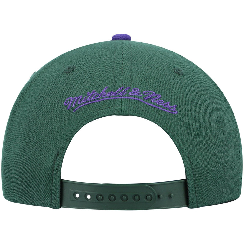 Milwaukee Bucks Hardwood Classics Team Two-Tone 2.0 Snapback Hat Green/Purple