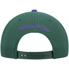 Milwaukee Bucks Hardwood Classics Team Two-Tone 2.0 Snapback Hat Green/Purple