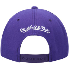 Phoenix Suns Hardwood Classics Team Ground 2.0 Snapback Hat Purple