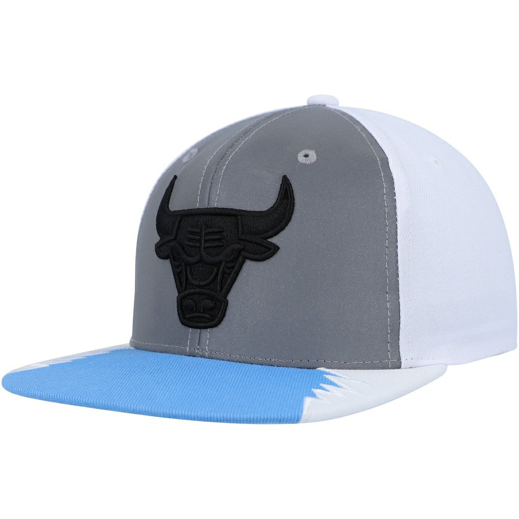Chicago Bulls Day 5 Snapback Hat Silver/Blue