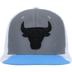 Chicago Bulls Day 5 Snapback Hat Silver/Blue