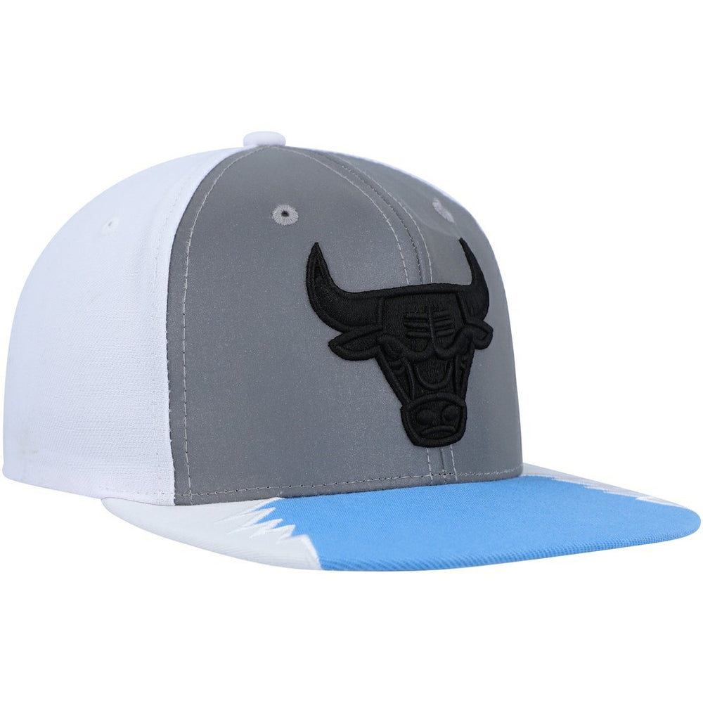Chicago Bulls Day 5 Snapback Hat Silver/Blue