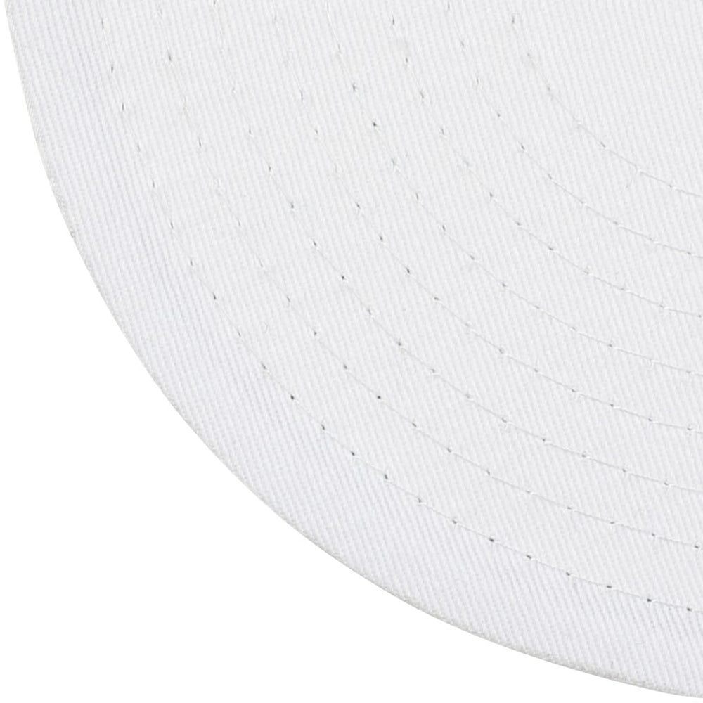Chicago Bulls Day 5 Snapback Hat Silver/Blue