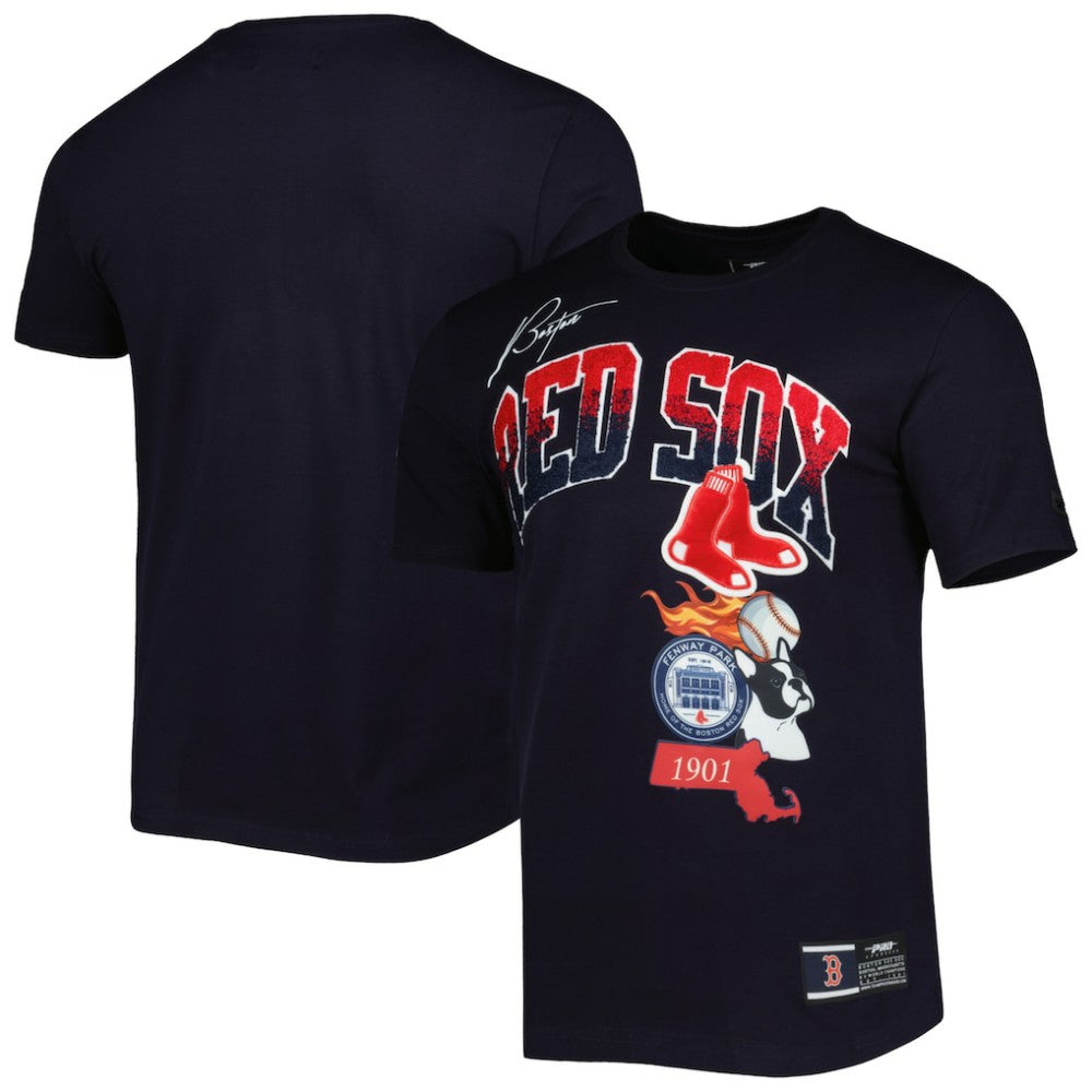 Boston Red Sox Pro Standard Hometown T-Shirt - Navy T-shirts