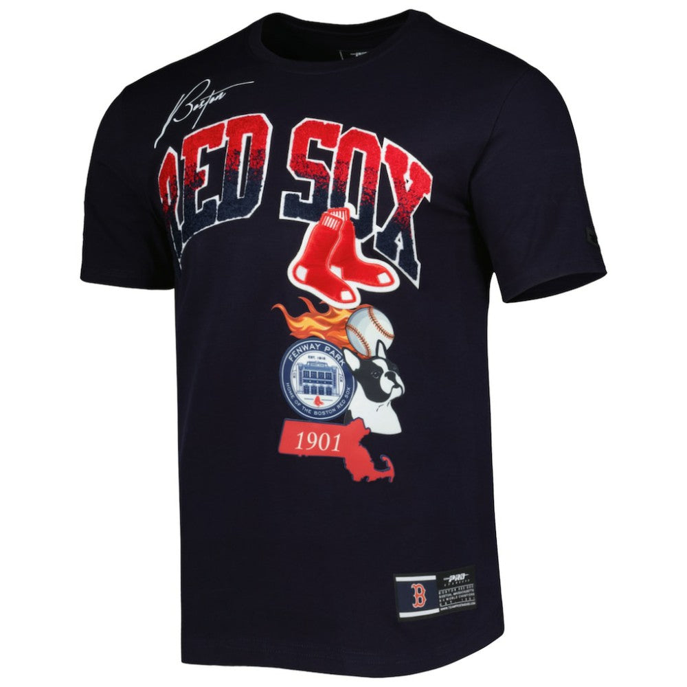 Boston Red Sox Pro Standard Hometown T-Shirt - Navy T-shirts