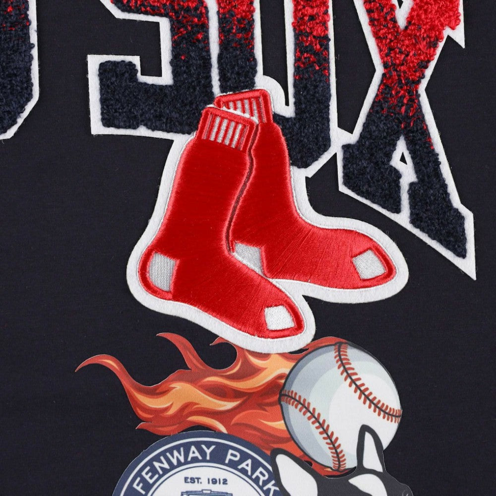 Boston Red Sox Pro Standard Hometown T-Shirt - Navy T-shirts