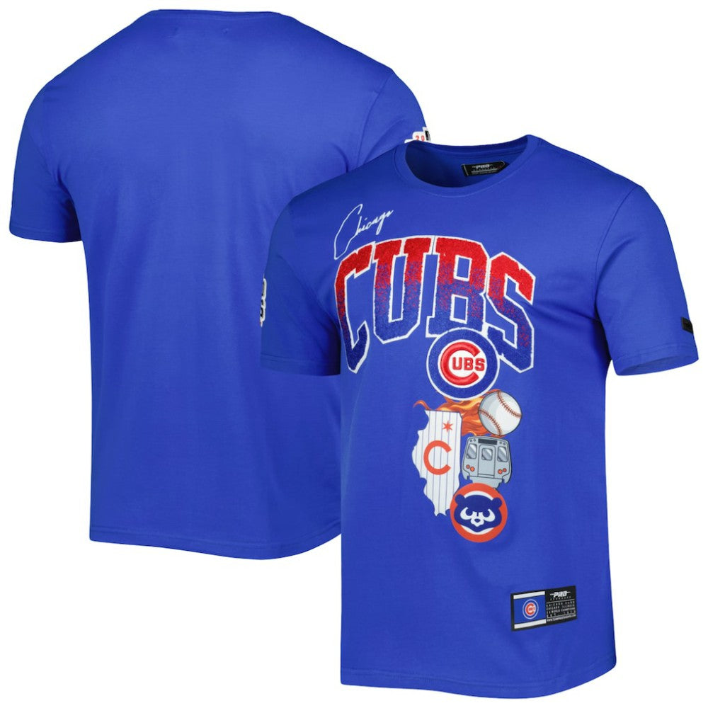 Chicago Cubs Pro Standard Hometown T-Shirt - Royal T-shirts